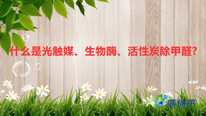 什么是光觸媒、生物酶、活性炭除甲醛?