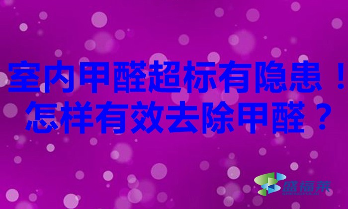 室內甲醛超標有隱患！怎樣有效去除甲醛？