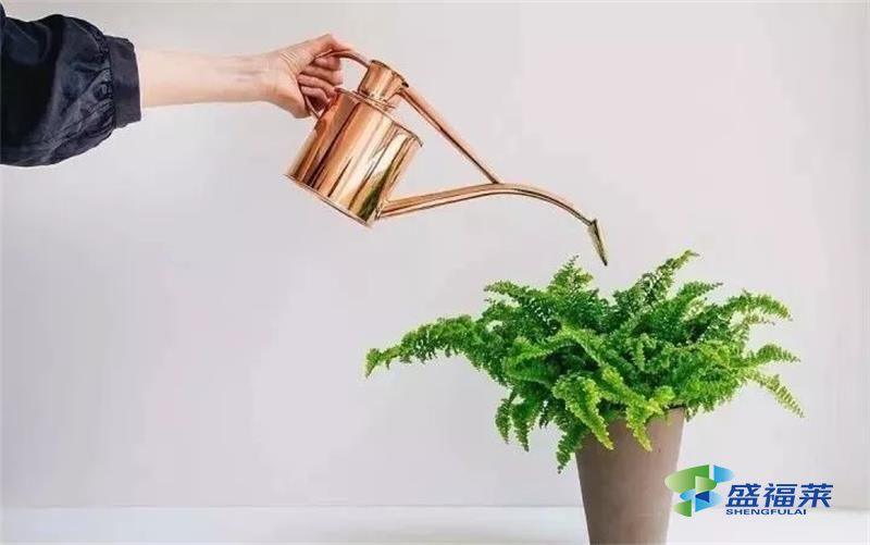 甲醛揮發(fā)周期長，但速率卻逐漸降低