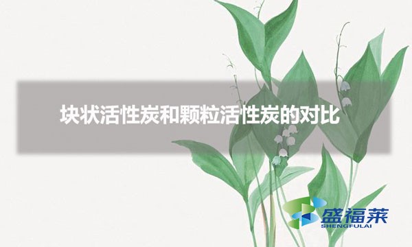 塊狀活性炭和顆?；钚蕴康膶?duì)比（塊狀和顆?；钚蕴坑心男┎煌? _propertydelete=