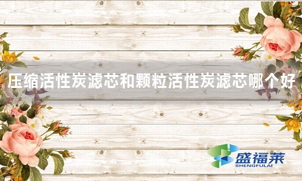 壓縮活性炭濾芯和顆?；钚蕴繛V芯哪個(gè)好 好在哪里？