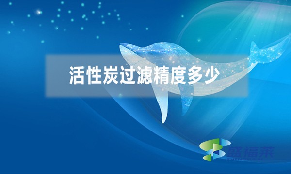 活性炭過濾精度多少，能過濾多大的雜質(zhì)？