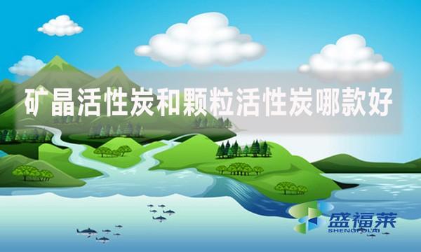 礦晶活性炭和顆?；钚蕴磕目詈?？