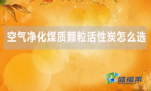 空氣凈化煤質(zhì)顆?；钚蕴吭趺催x？