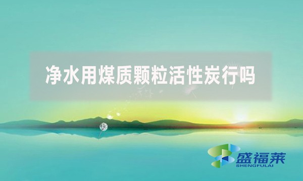 凈水用煤質(zhì)顆?；钚蕴啃袉?？