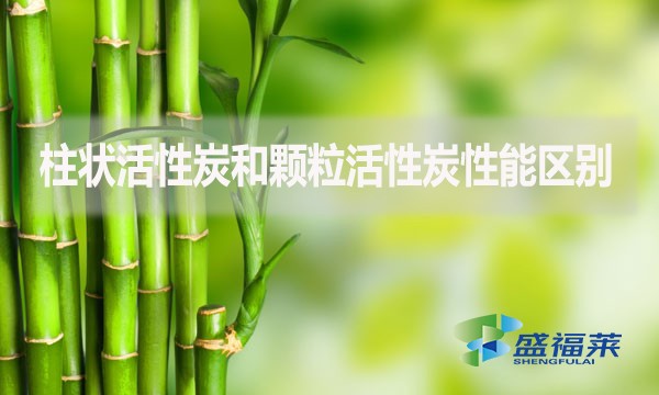 柱狀活性炭和顆?；钚蕴啃阅軈^(qū)別