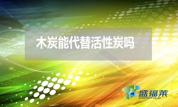 木炭能代替活性炭嗎？為什麼 ？