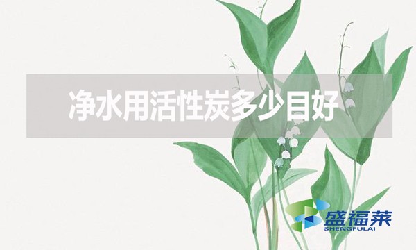 凈水用活性炭多少目好？有哪些優(yōu)缺點？