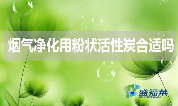 煙氣凈化用粉狀活性炭合適嗎？