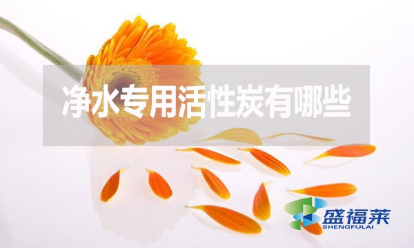 凈水專用活性炭有哪些？多少錢一噸？