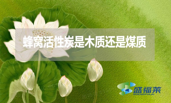 蜂窩活性炭是木質(zhì)還是煤質(zhì)？哪種好？