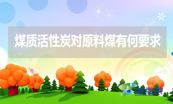 煤質(zhì)活性炭對(duì)原料煤有何要求？