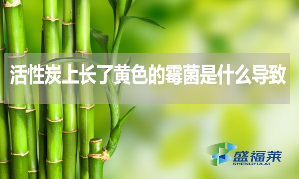 活性炭上長(zhǎng)了黃色的霉菌是什么導(dǎo)致的？還能不能使用？