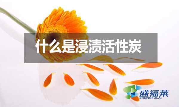 什么是浸漬活性炭？