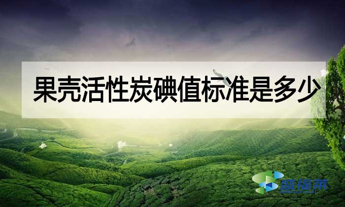 果殼活性炭碘值標準是多少？與其他活性炭相差多少？