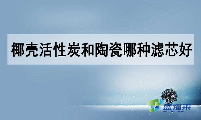 椰殼活性炭和陶瓷哪種濾芯好？如何選擇？